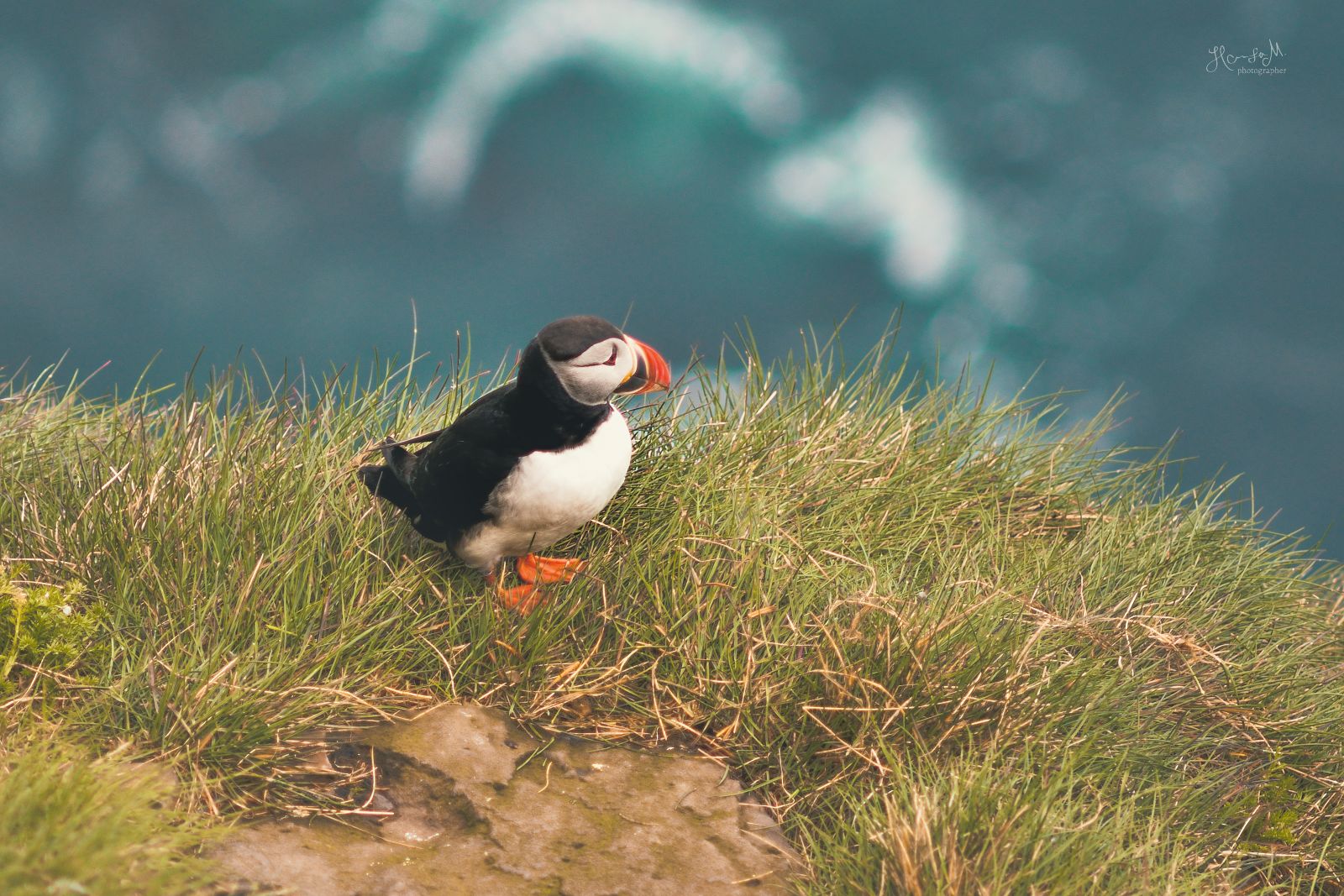 Honza Jan Musil fotograf